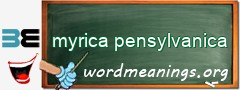 WordMeaning blackboard for myrica pensylvanica